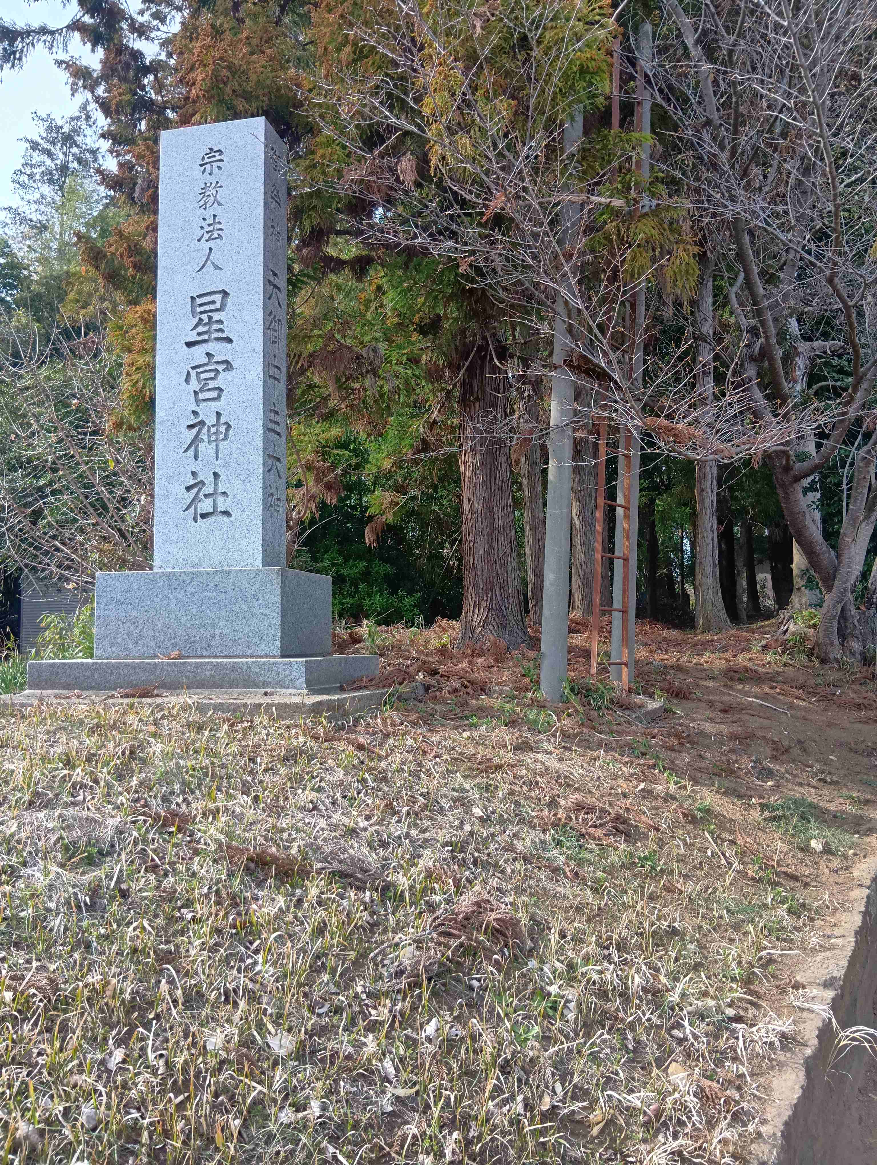 260322142441613.JPG