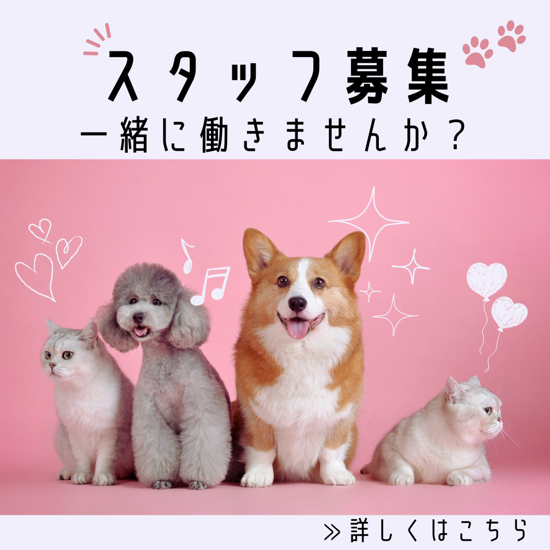 ペットサロン　インスタ.png