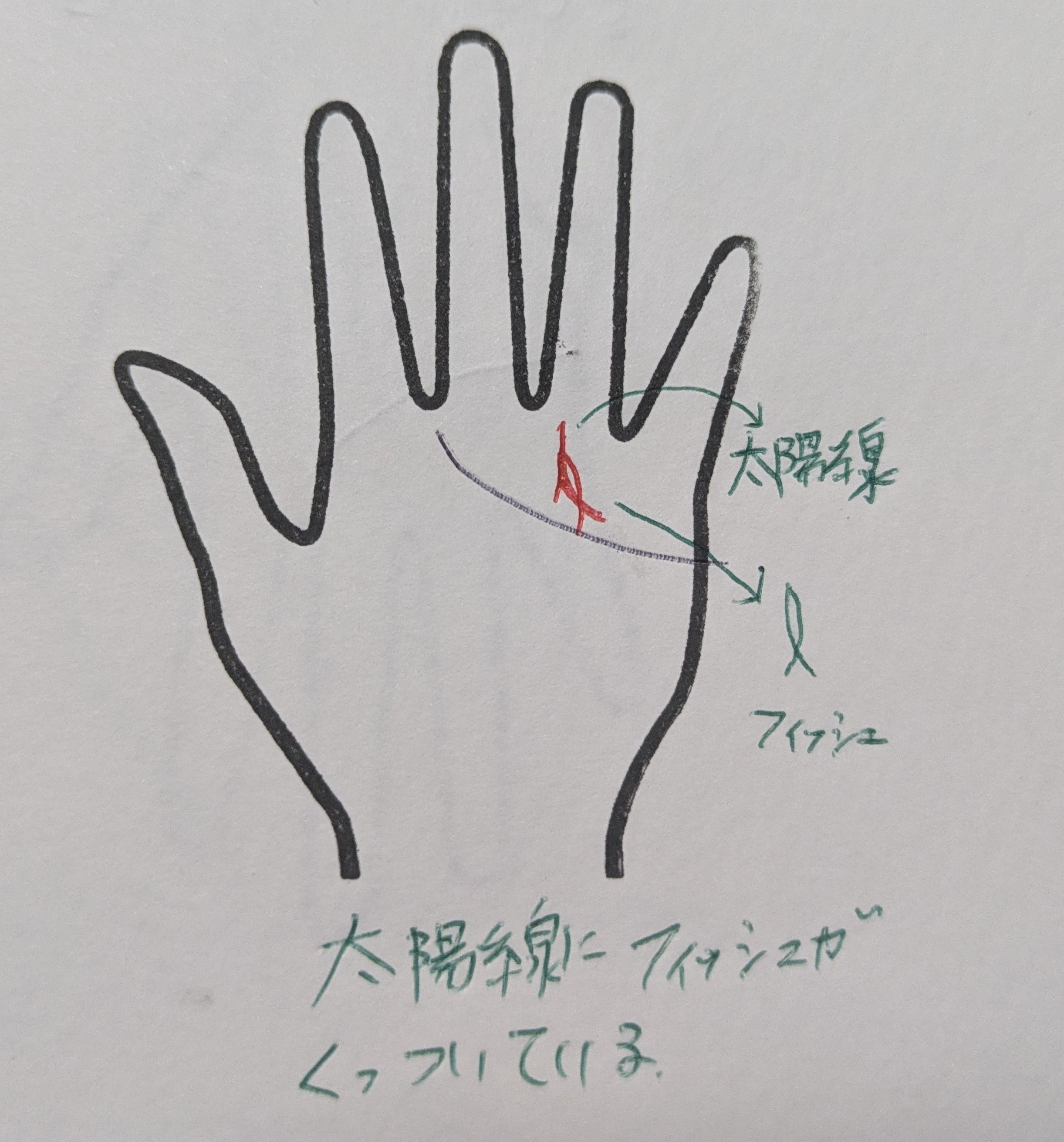PXL_20251026_211812253.jpg