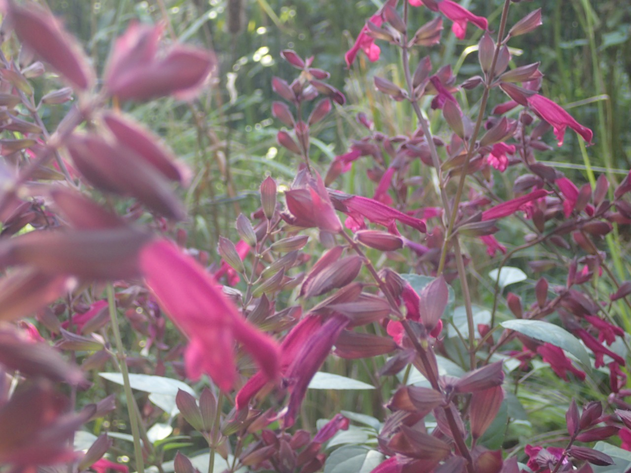 PB170814.JPG