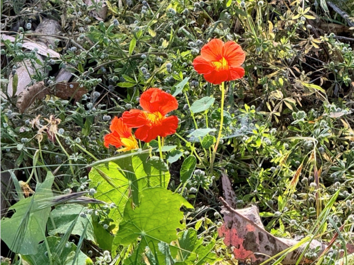 スクリーンショット 2024-06-09 11.40.36.png