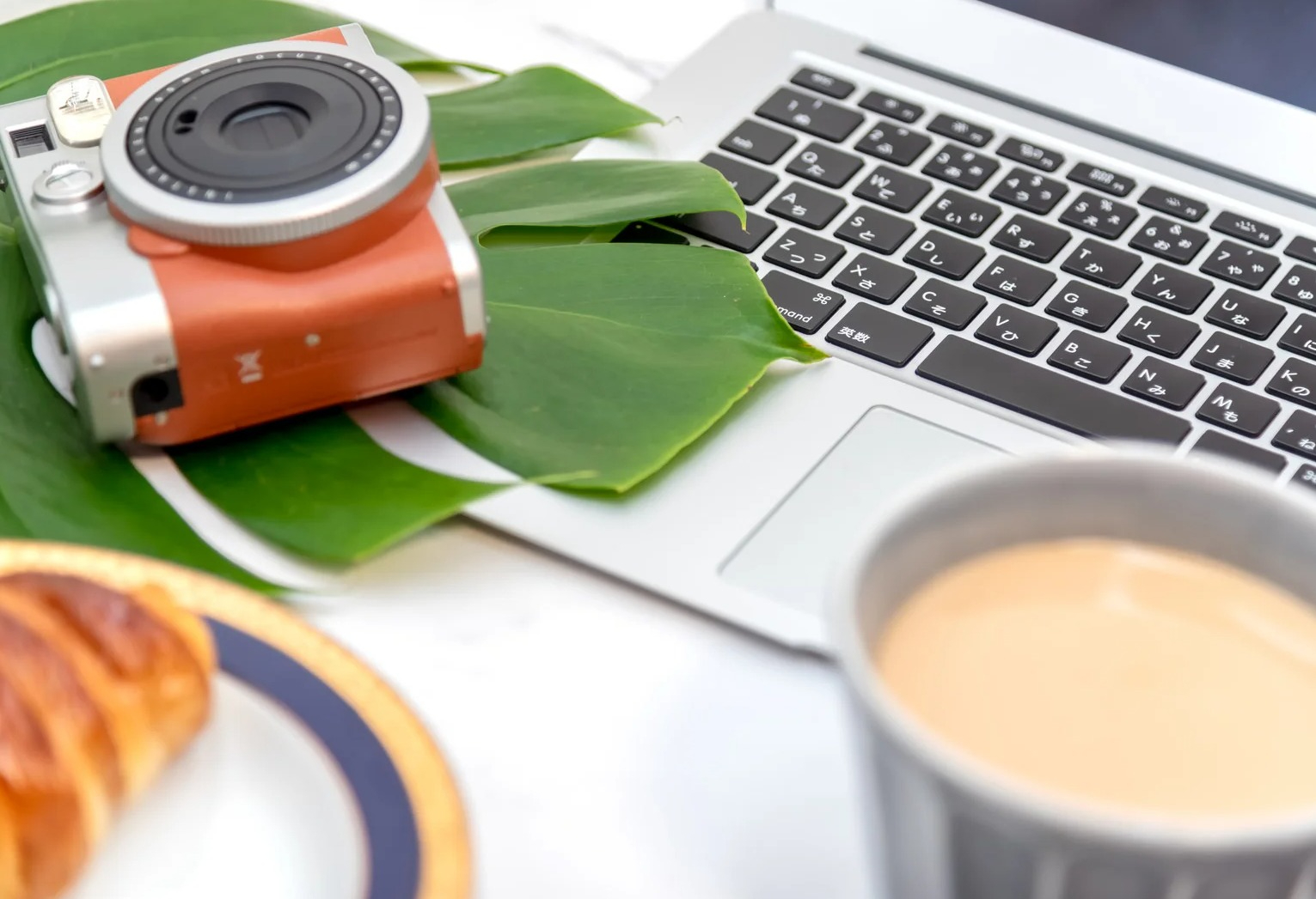crop15ellyfdesk845.jpg