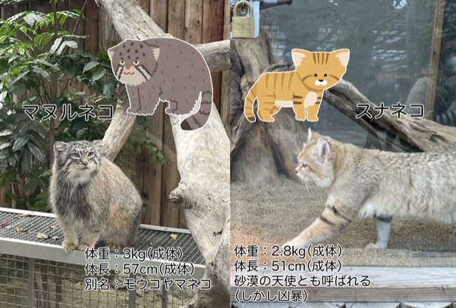 5913FFE9-C7A6-4877-B0D1-D9E8B5900C04.png