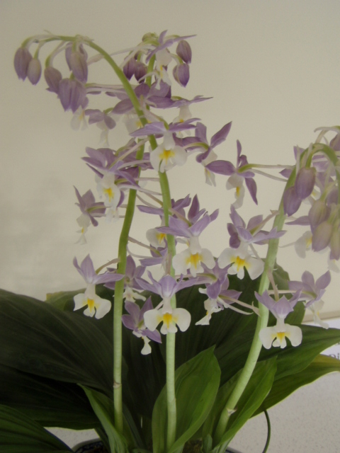 P1010104.JPG