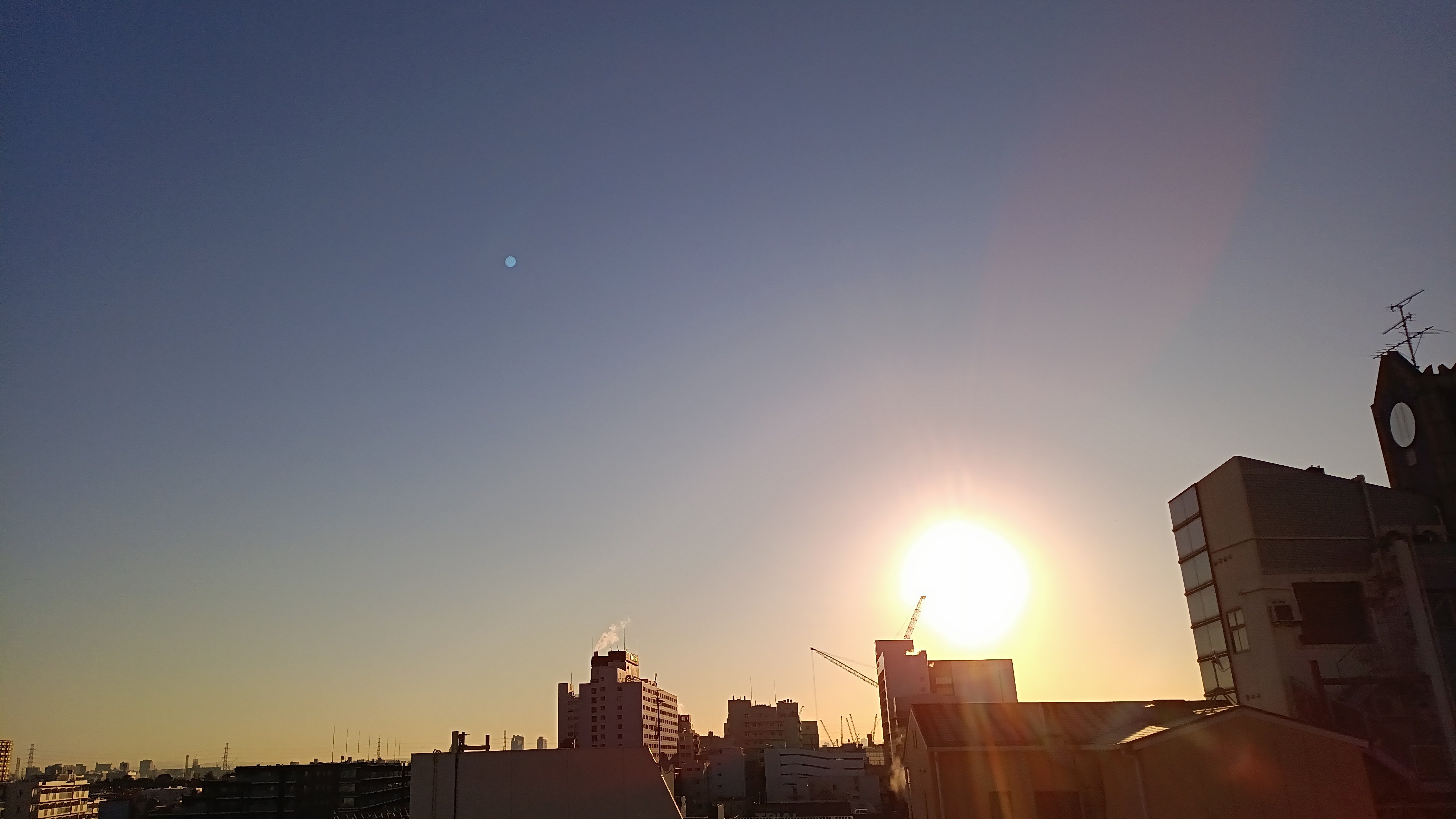 IMG_20250210_073835_947.jpg