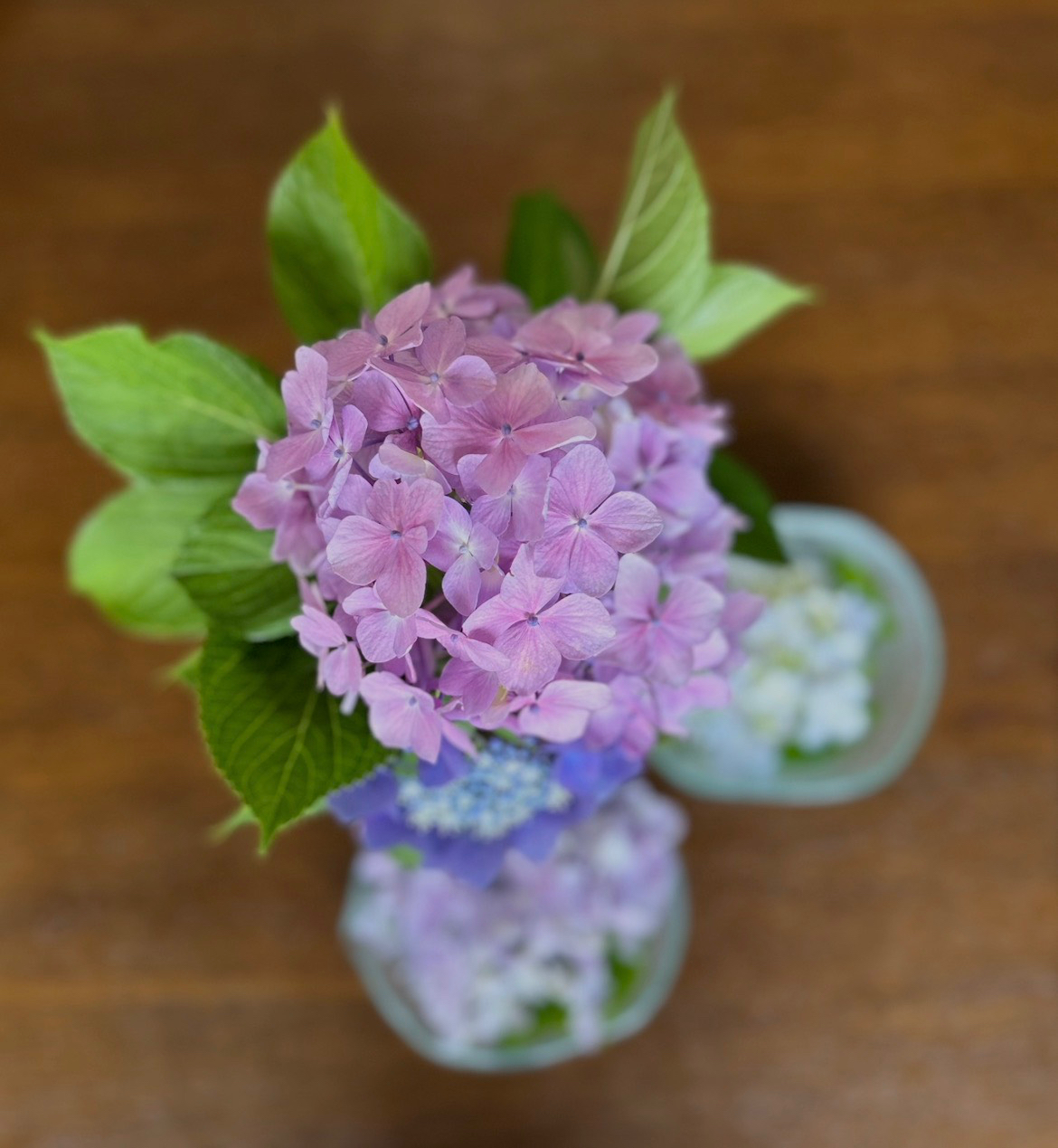 S__110837766.jpg