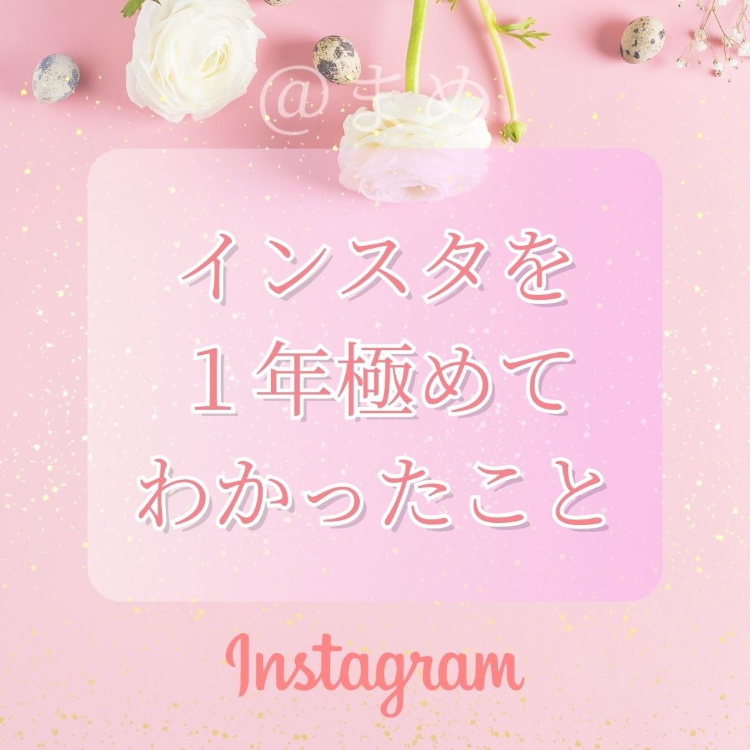 インスタを １年極めて わかったこと.jpg