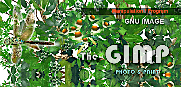gimp.png