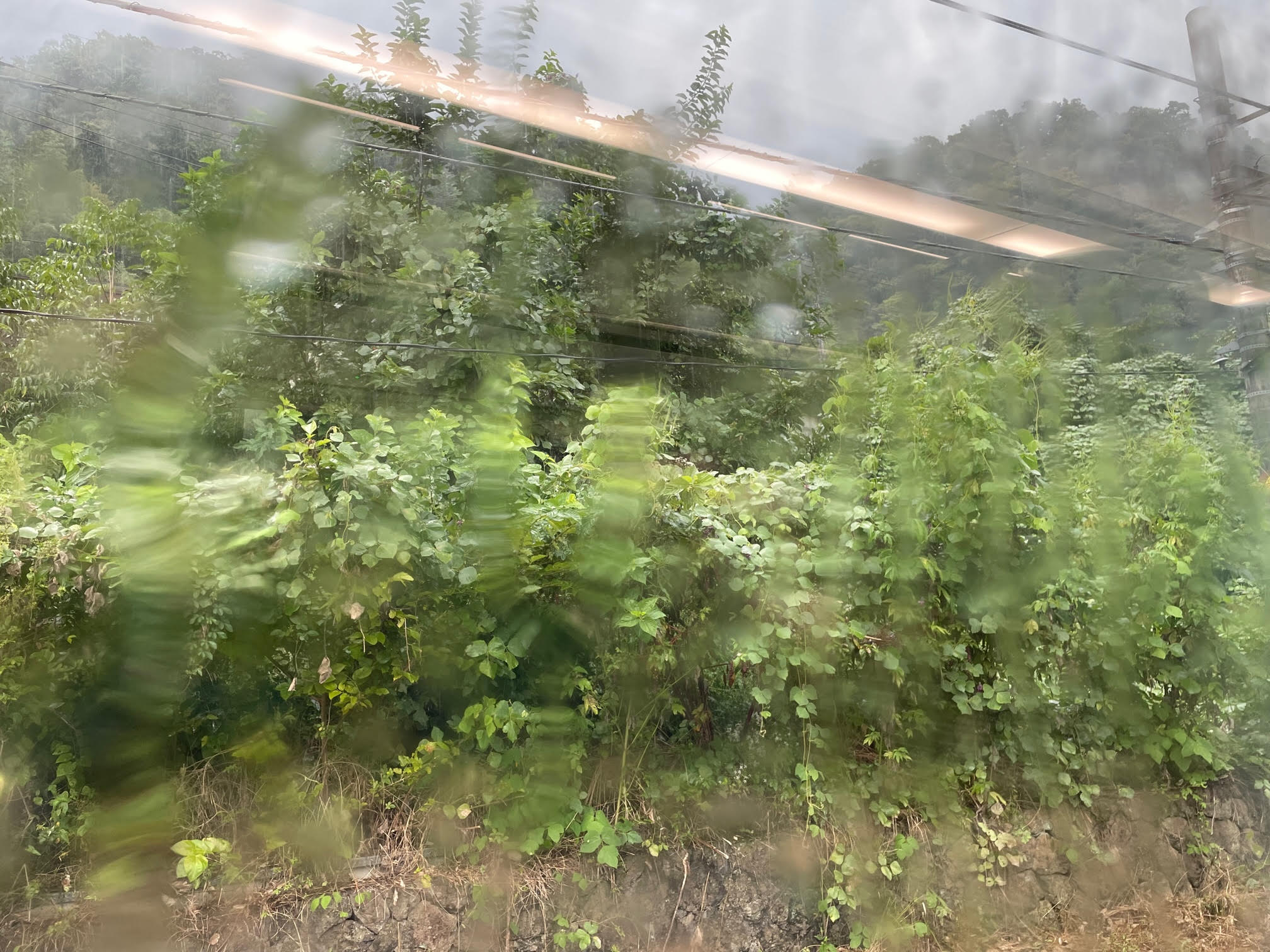 あずさ30号.jpg
