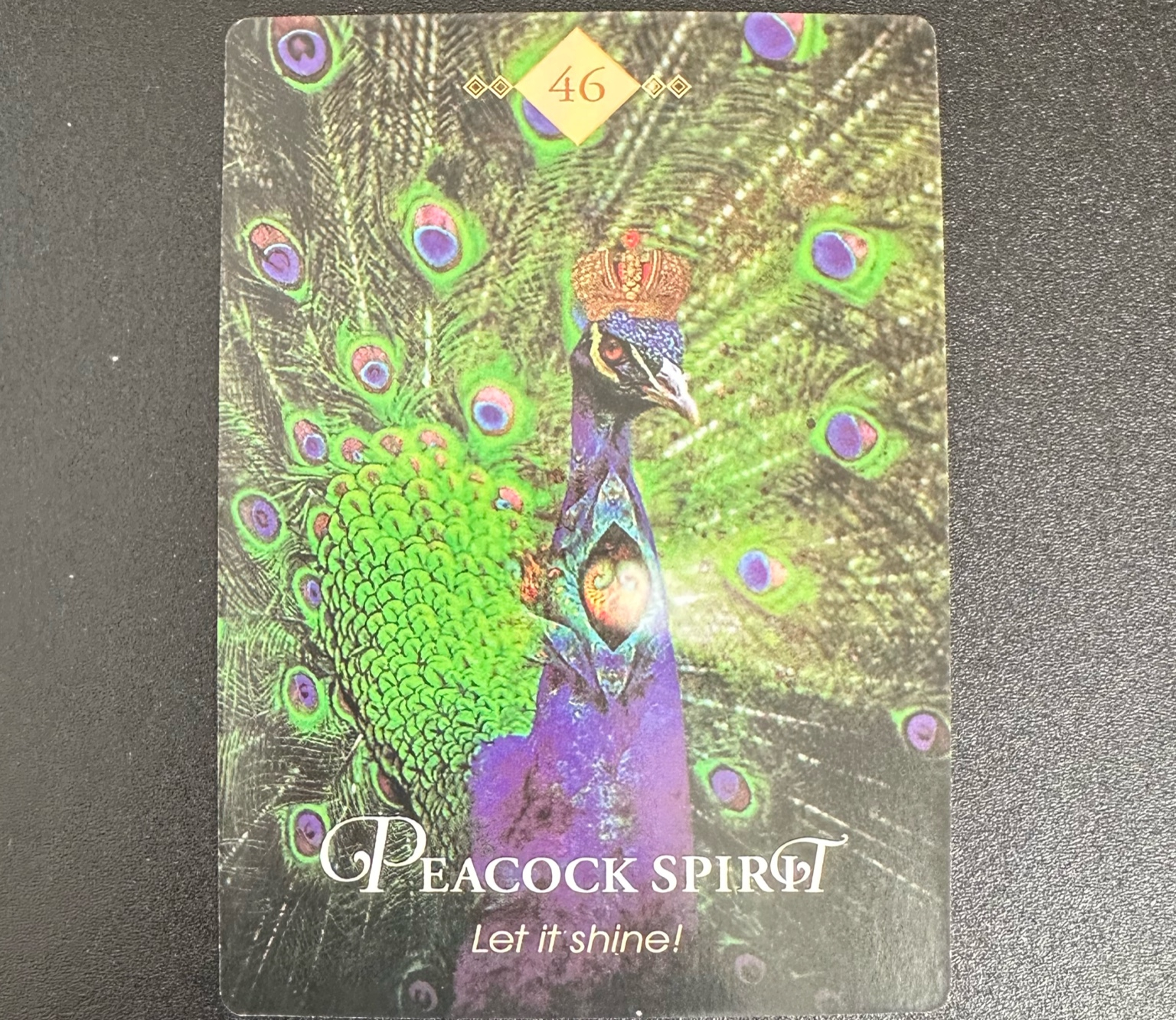 converted_image_1 (1).png