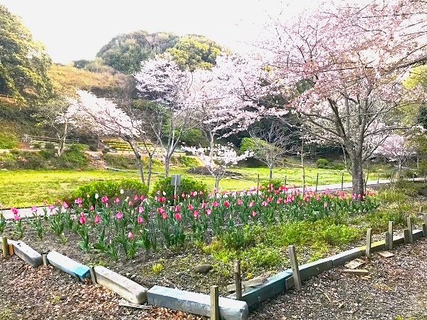 里山スケッチ 風景.jpg