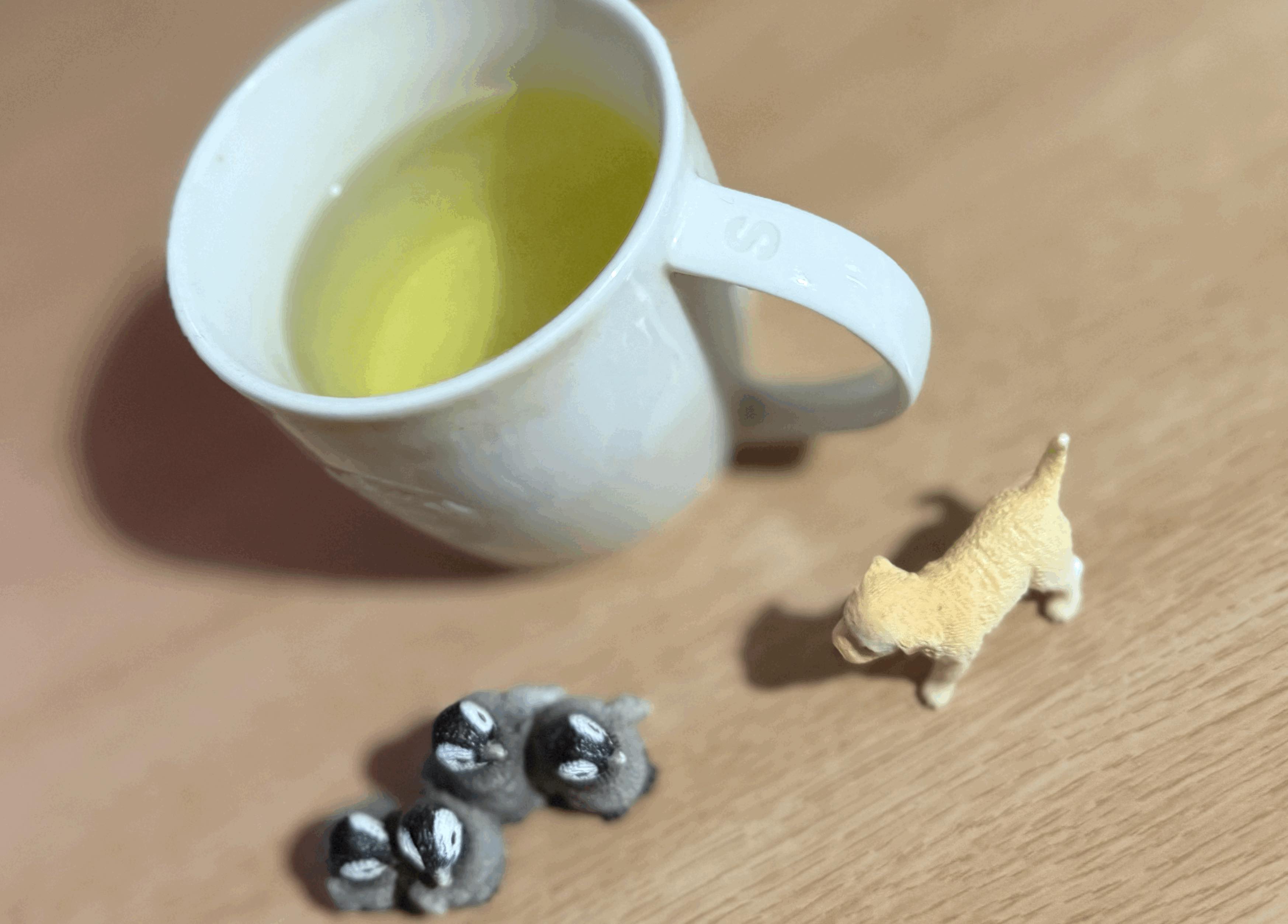 tempImagewR60D9.gif
