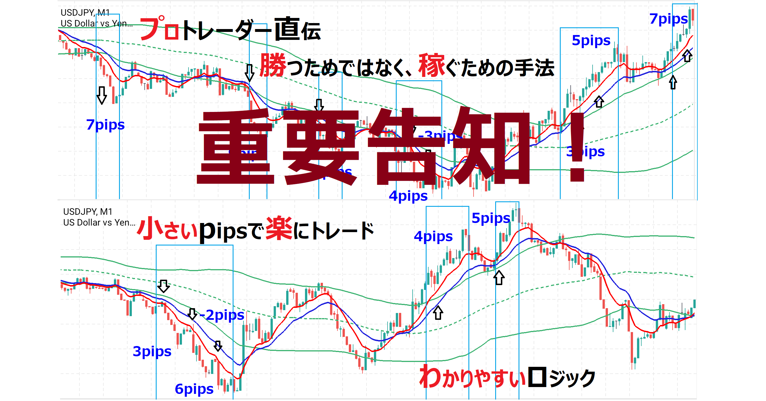 sale-top-wide-kokuchi.png