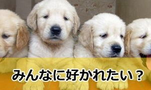 画像⑤.jpg