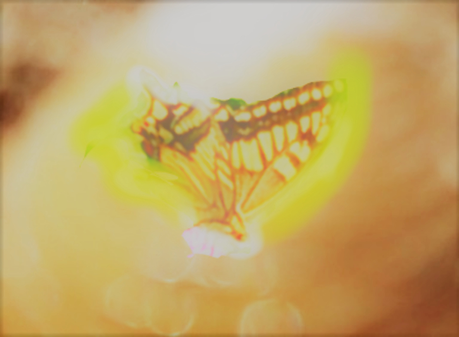 sketch-1669526030643 (2).png
