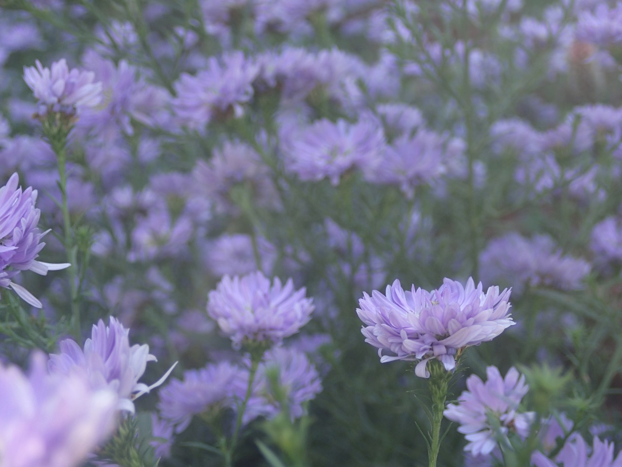PB170074.JPG