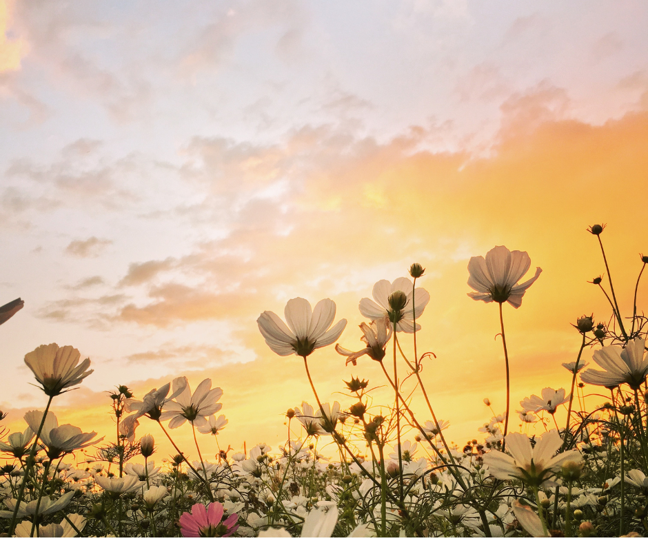 名称未設定のデザイン - 2023-12-09T025741.508.png