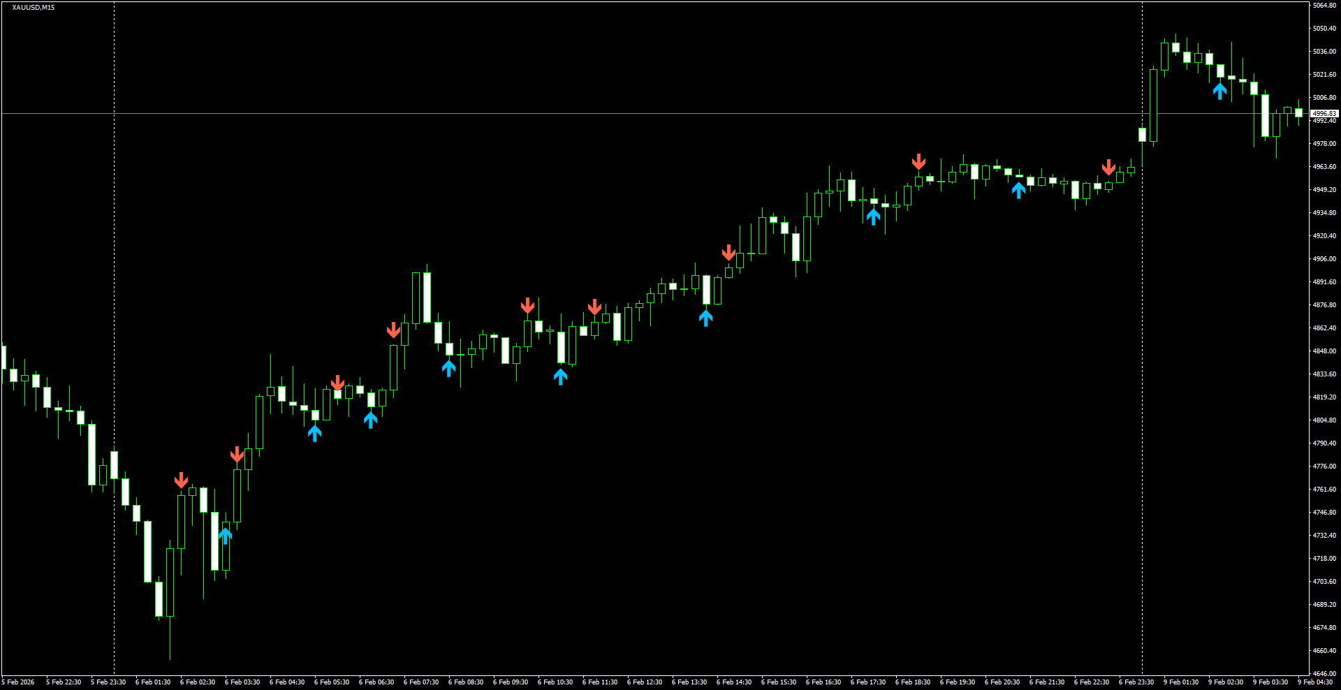 XAUUSD(M15)_2026.02.09_200604.png