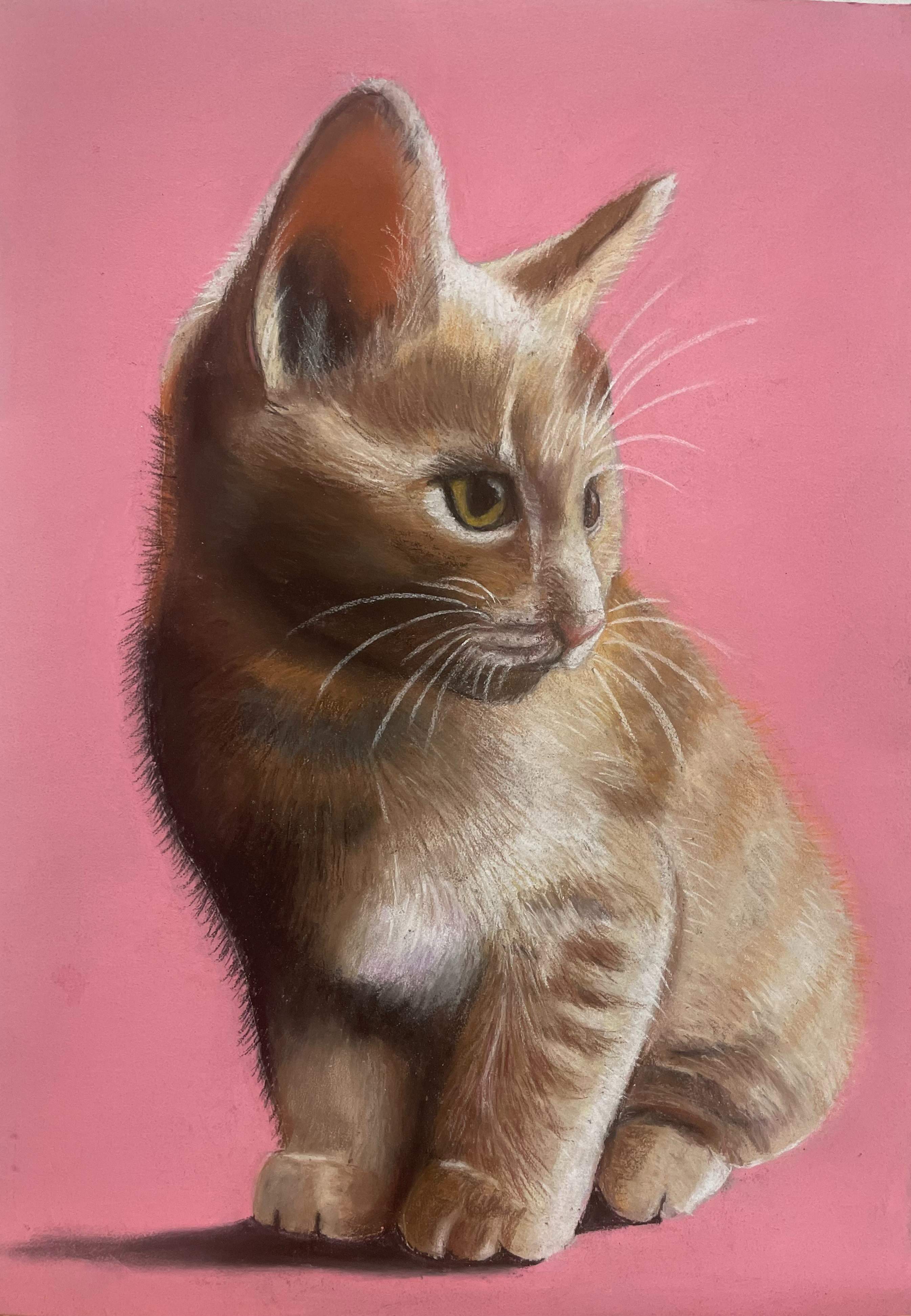 image_50368513 (1).JPG