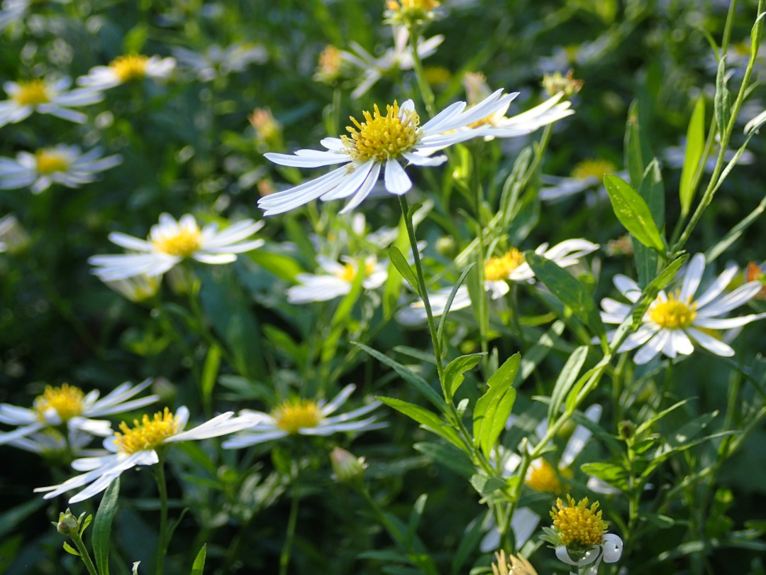 PA100869.JPG