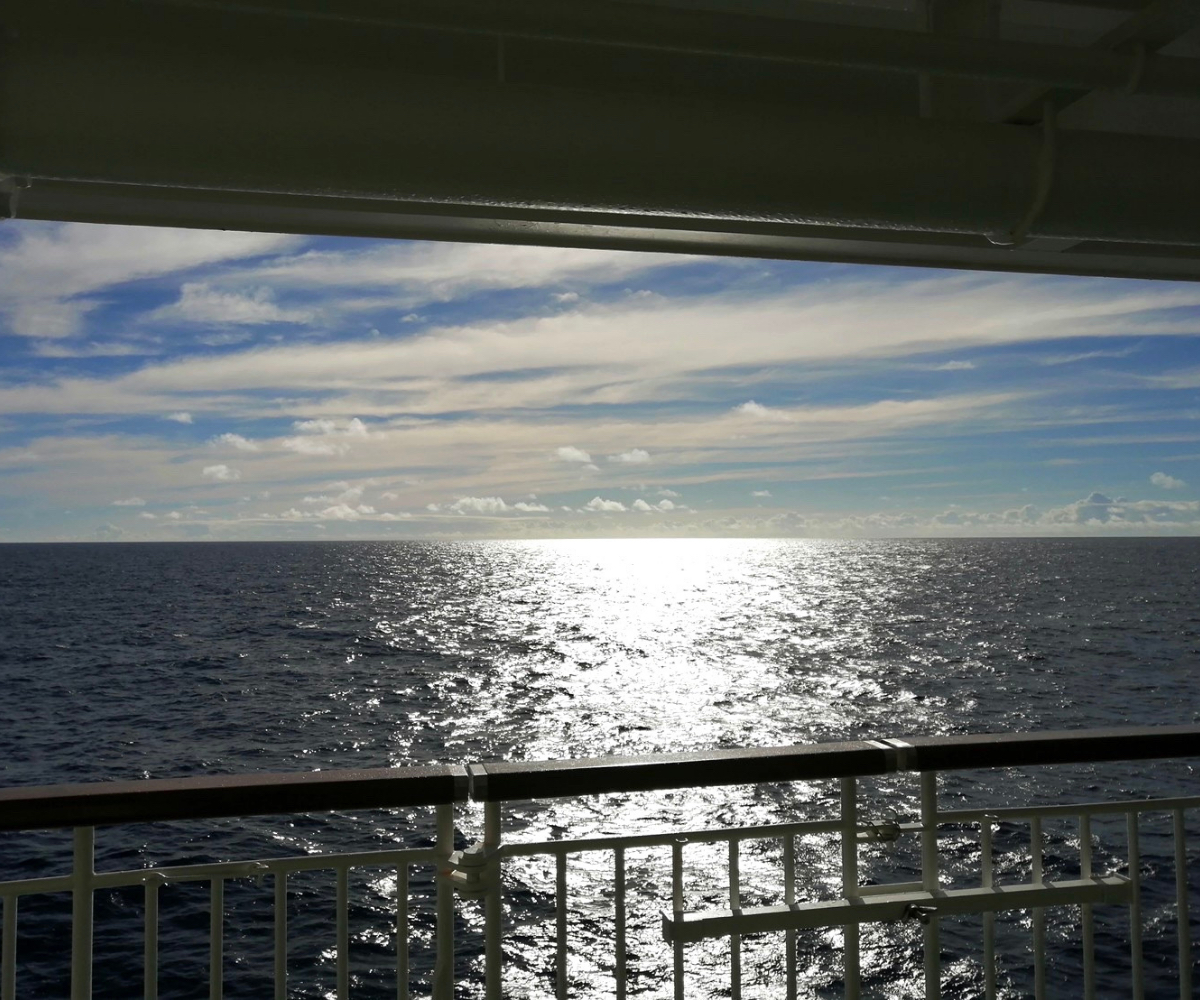 F2050861-7954-4B2E-802D-5B3AB269C03C.png