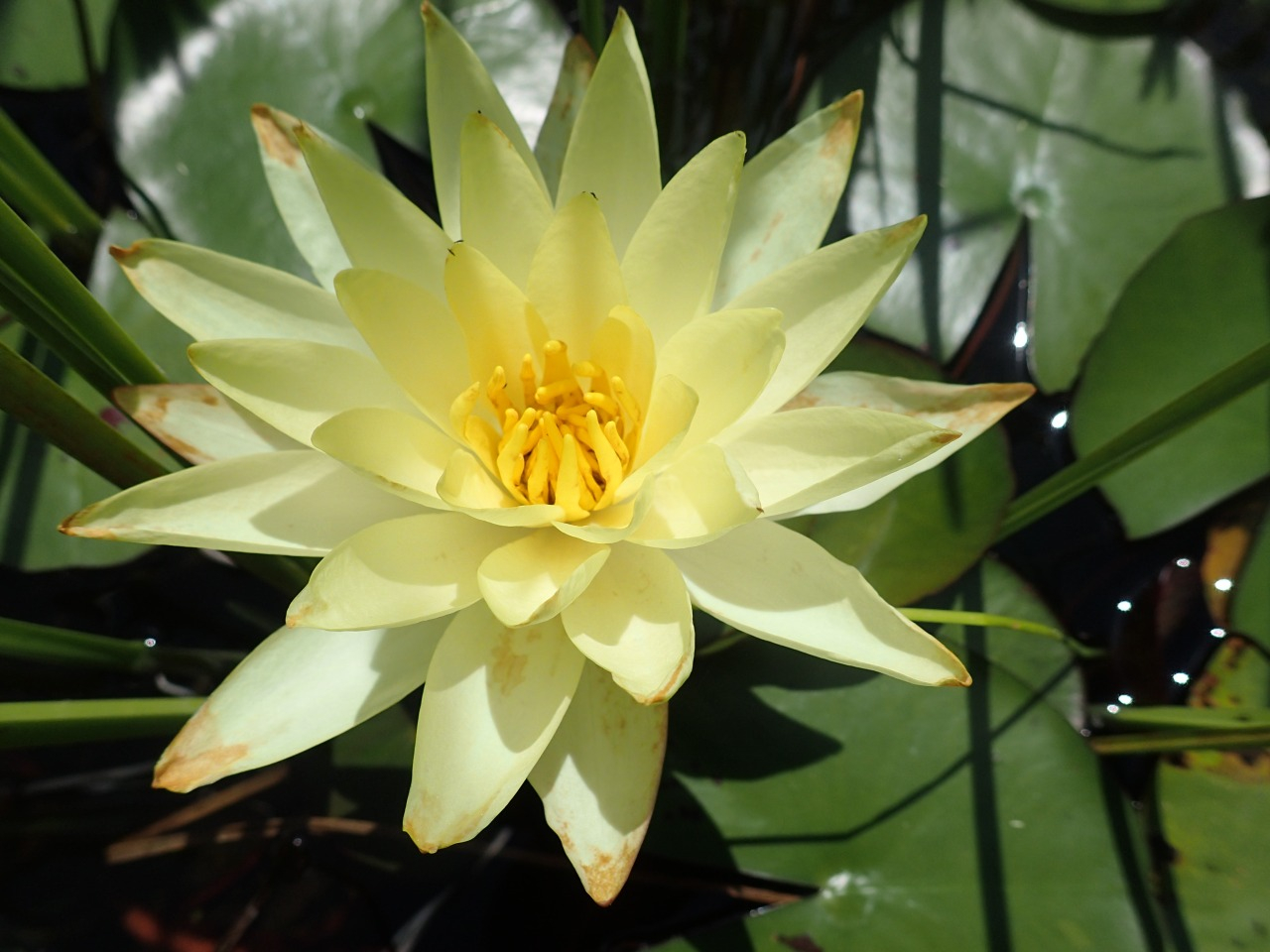 P6280109.JPG