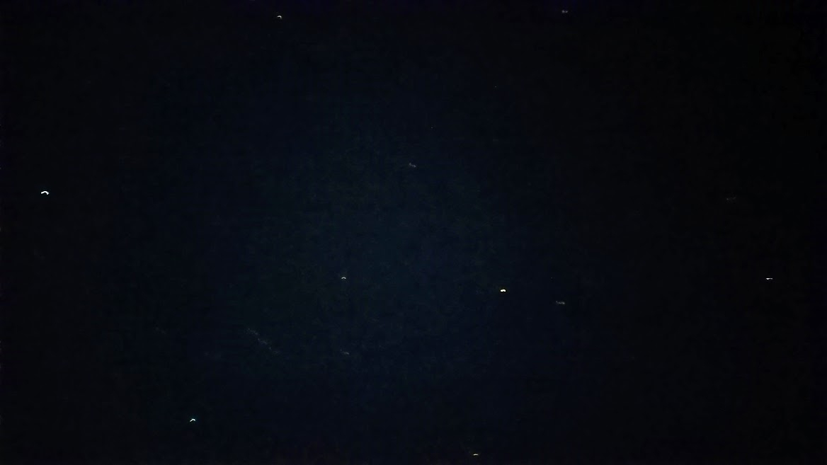 DSC_1925.JPG