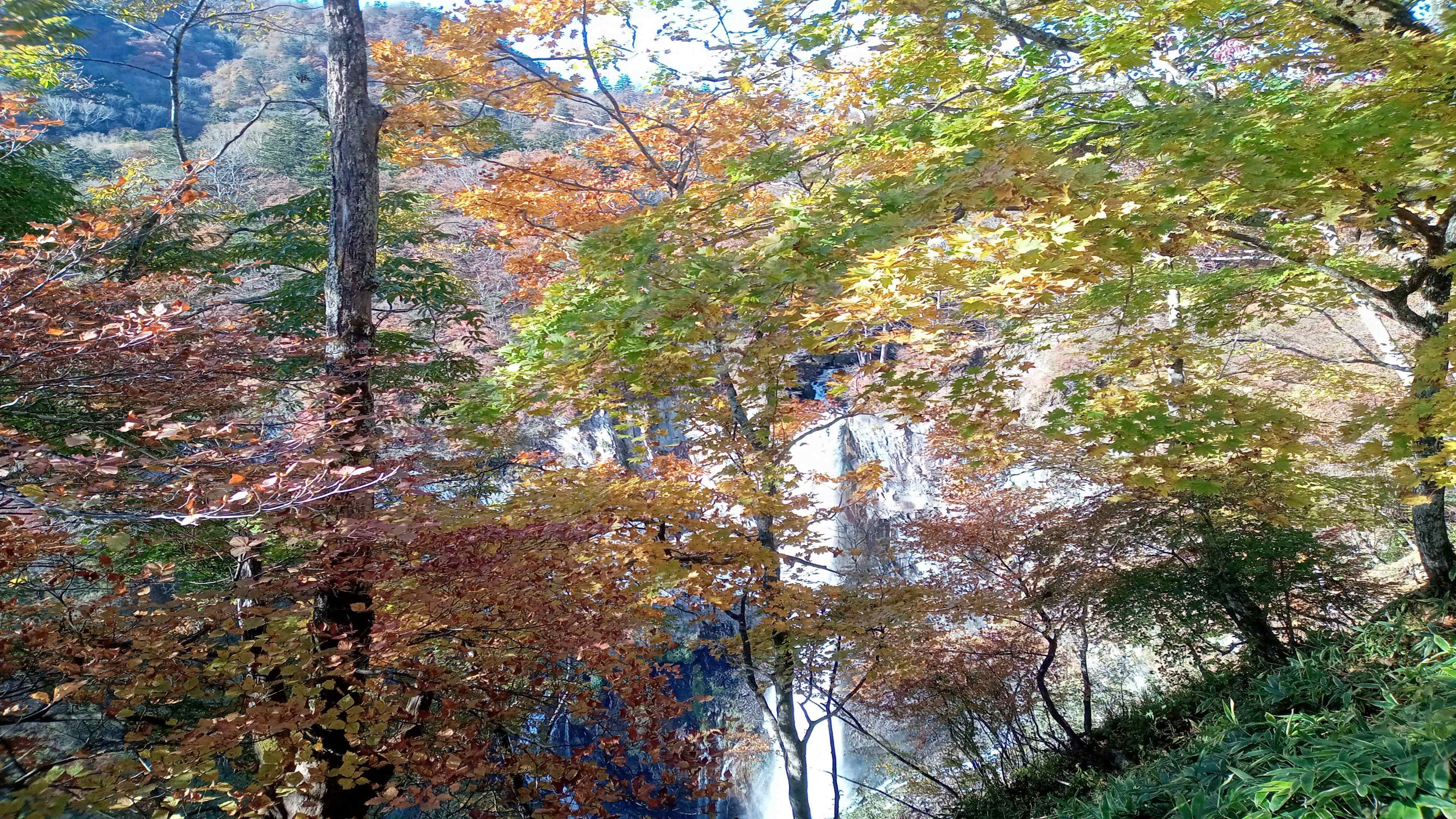 DSC_0711　滝と紅葉（改）.jpg