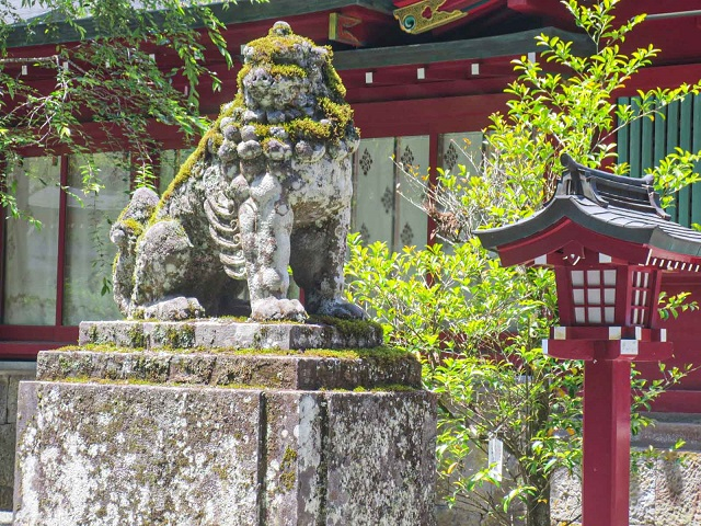 箱根神社_狛犬01.jpg