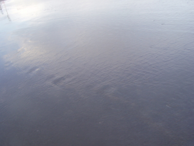P1010040.JPG