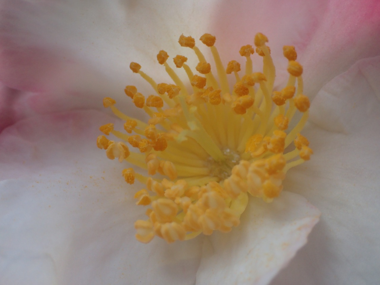 PC220275.JPG