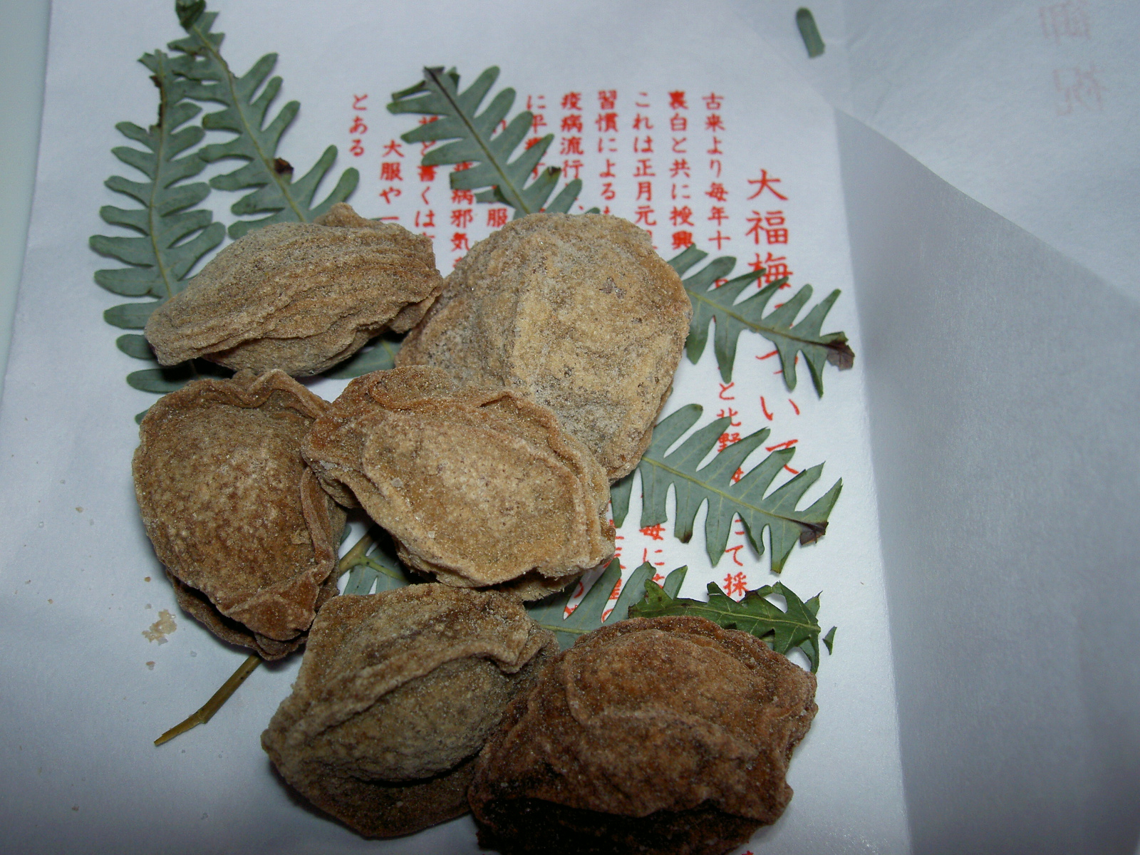 PICT2873.JPG
