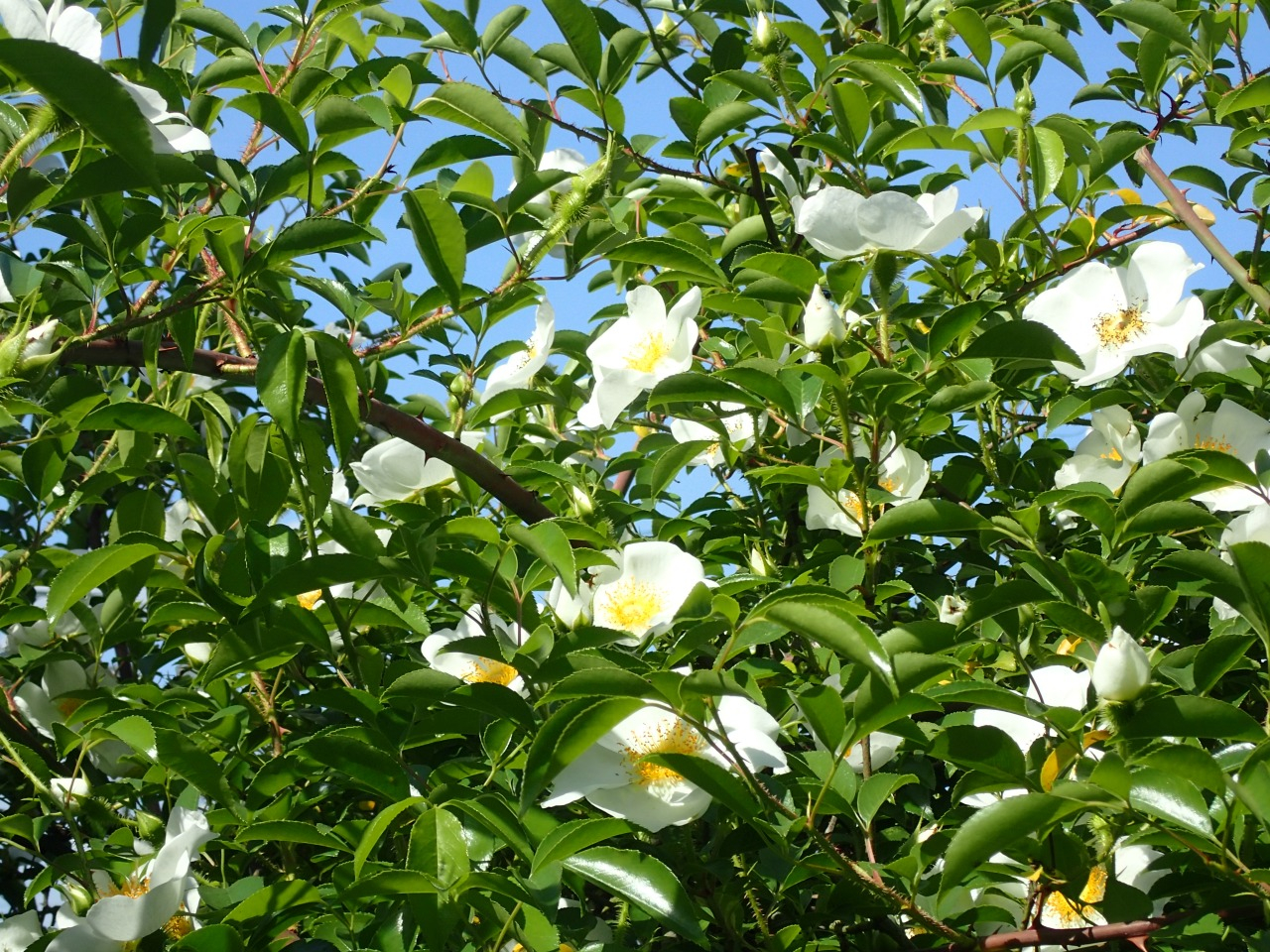 P5030674.JPG