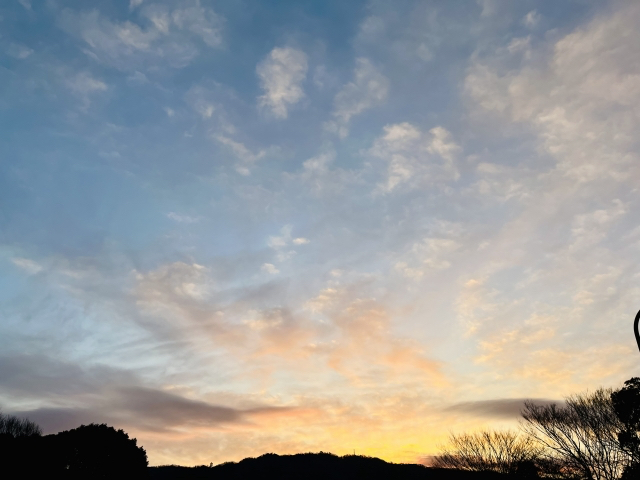 29022717_s.jpg