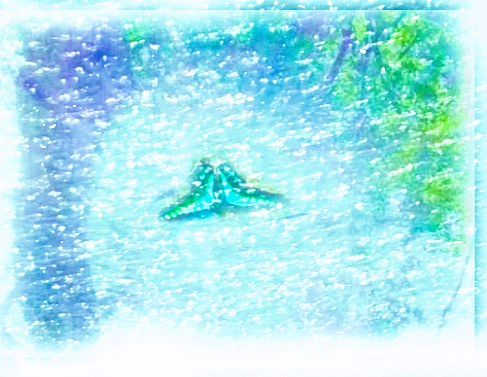 midorivvmmm.png
