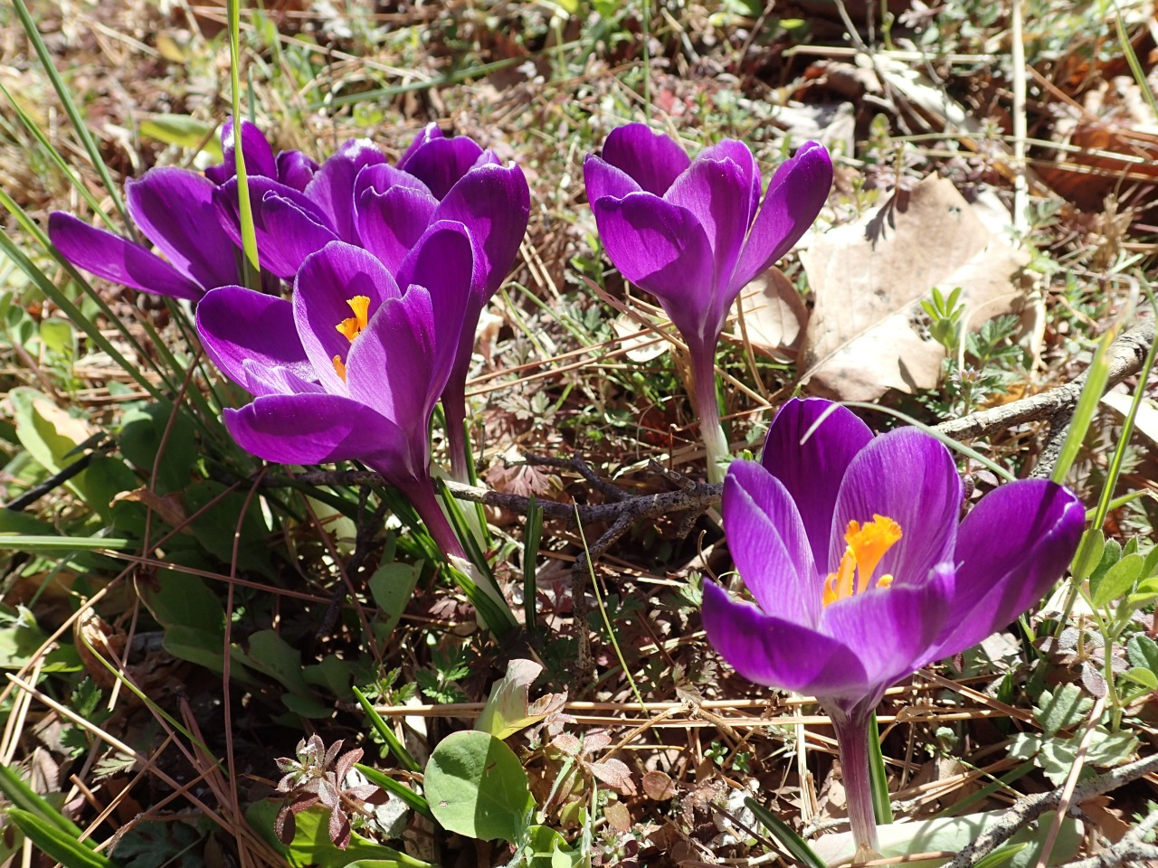 P3021250.JPG