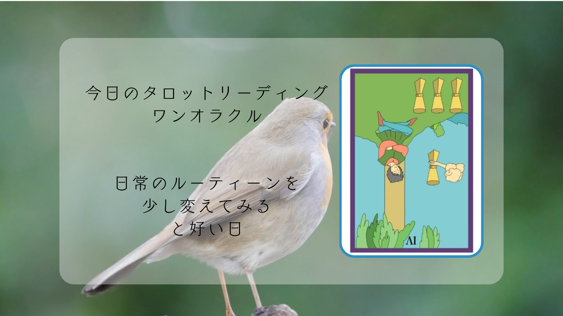 2026.3.3 カップ４逆.png