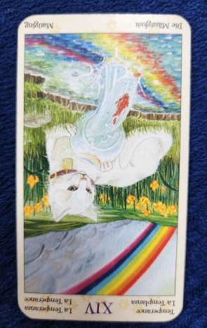 20230705_085740 (002).jpg