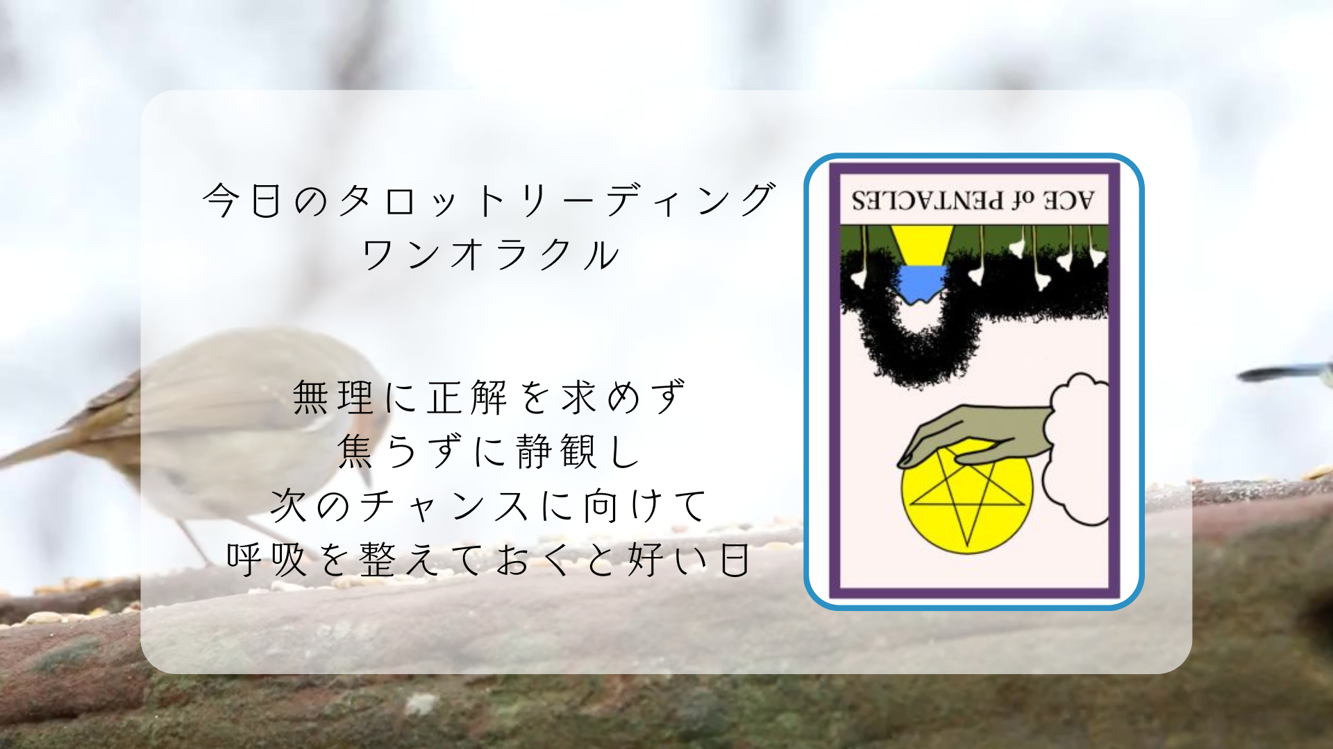 2026.2.23 ペンタクルのエース逆.png