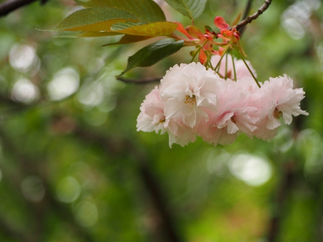 26050195_s.jpg