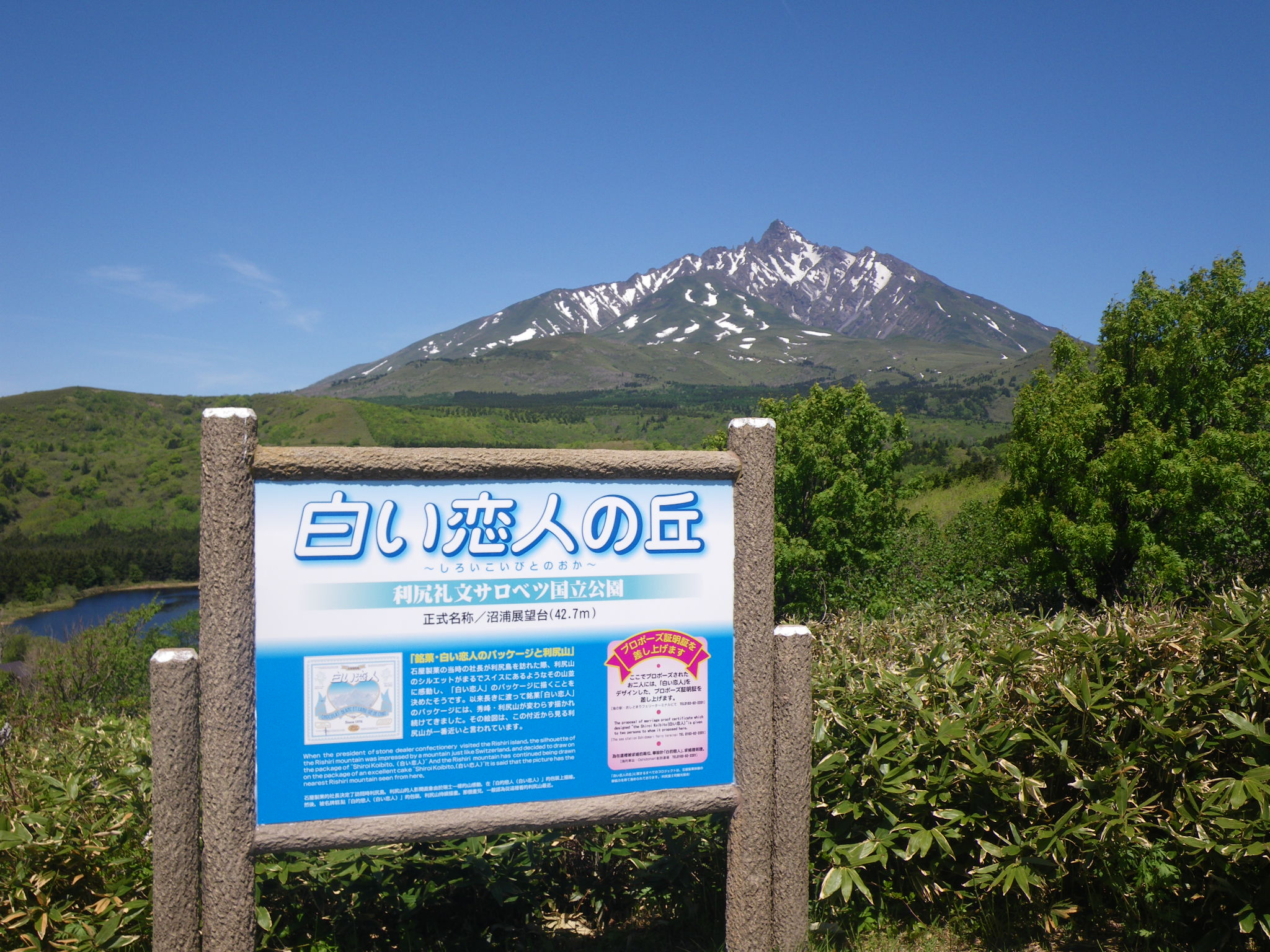 白い恋人の丘㈪.jpg