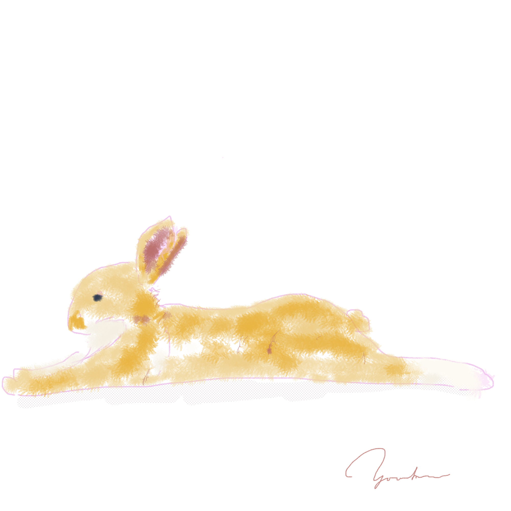 250126_rabbit.png
