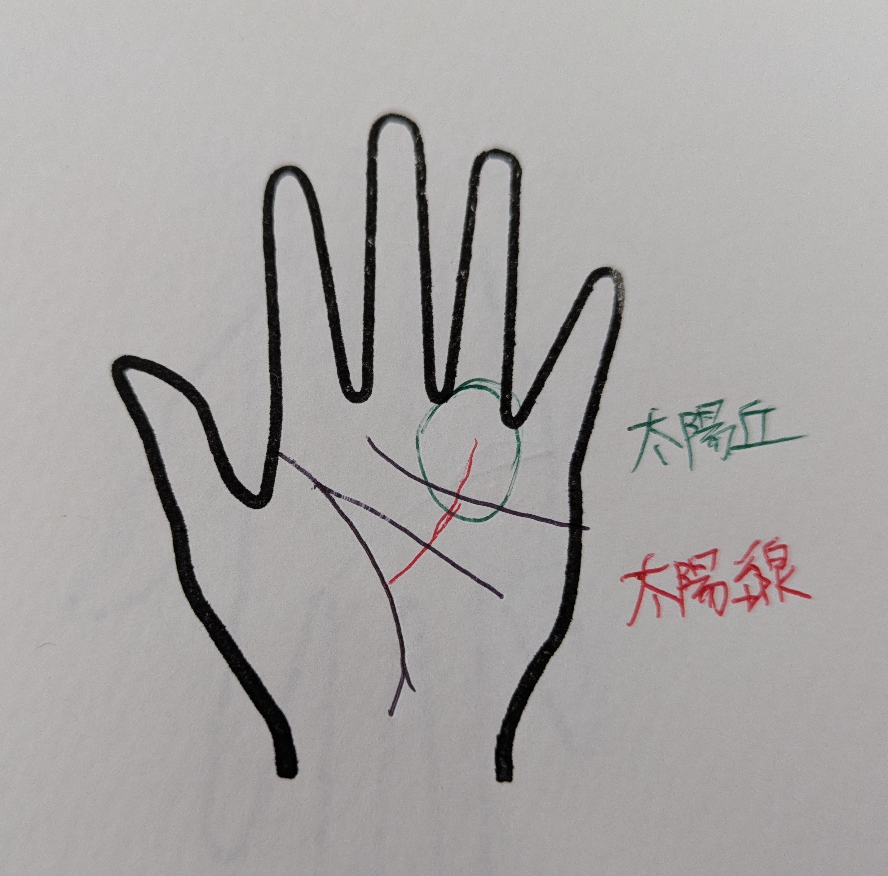 PXL_20251105_042752712.jpg
