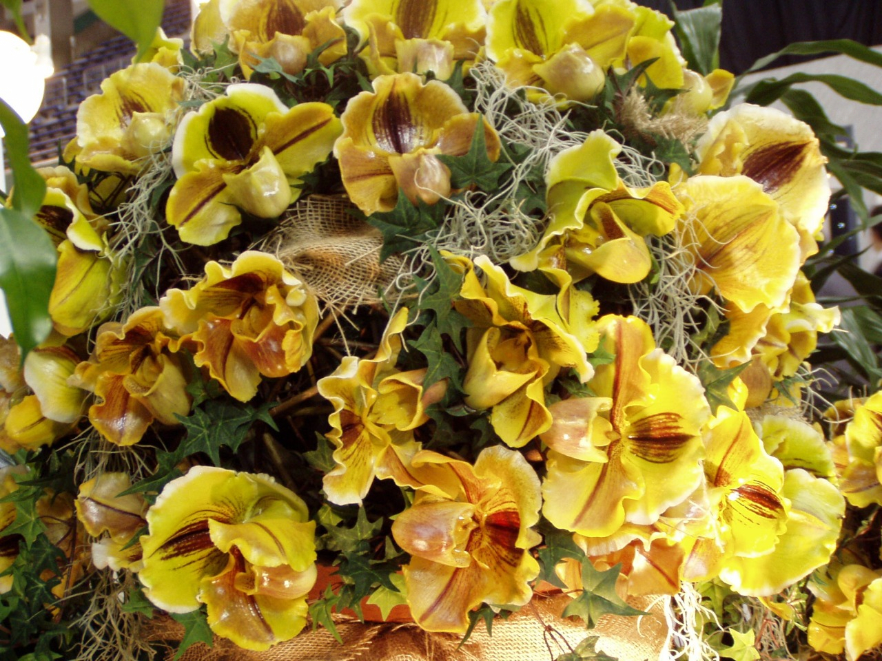 P1010055.JPG