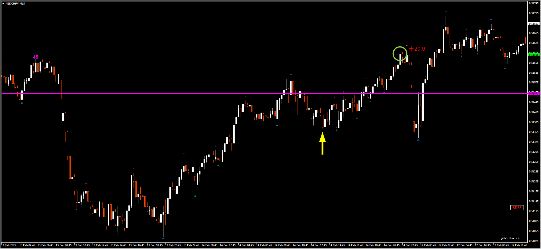 250214NZDCHF.png