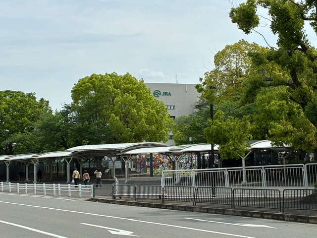 IMG_9163.jpeg