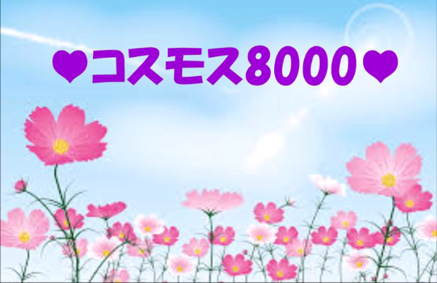 ♥サムネ_コスモス8000.png