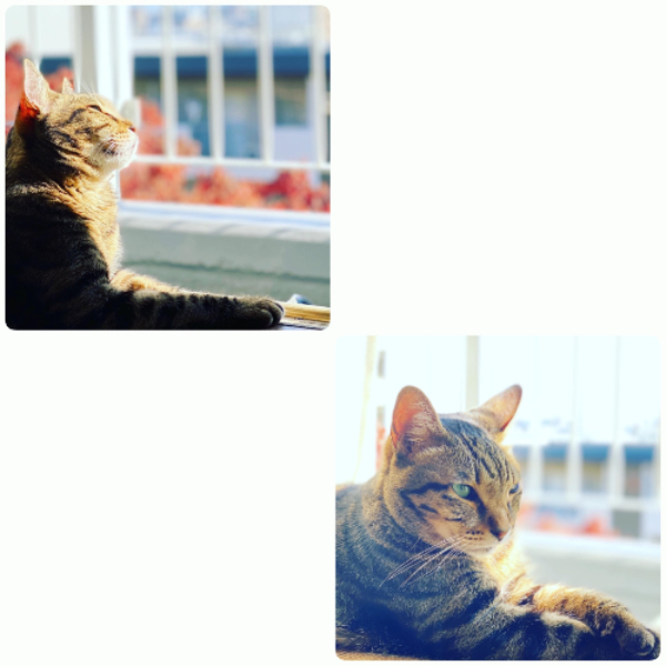 IMG_7689.png