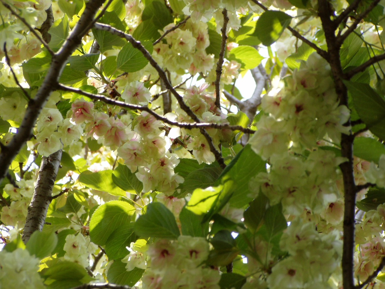P1010046.JPG