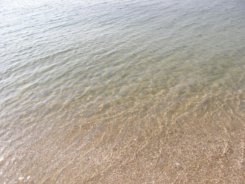 PA191160.JPG